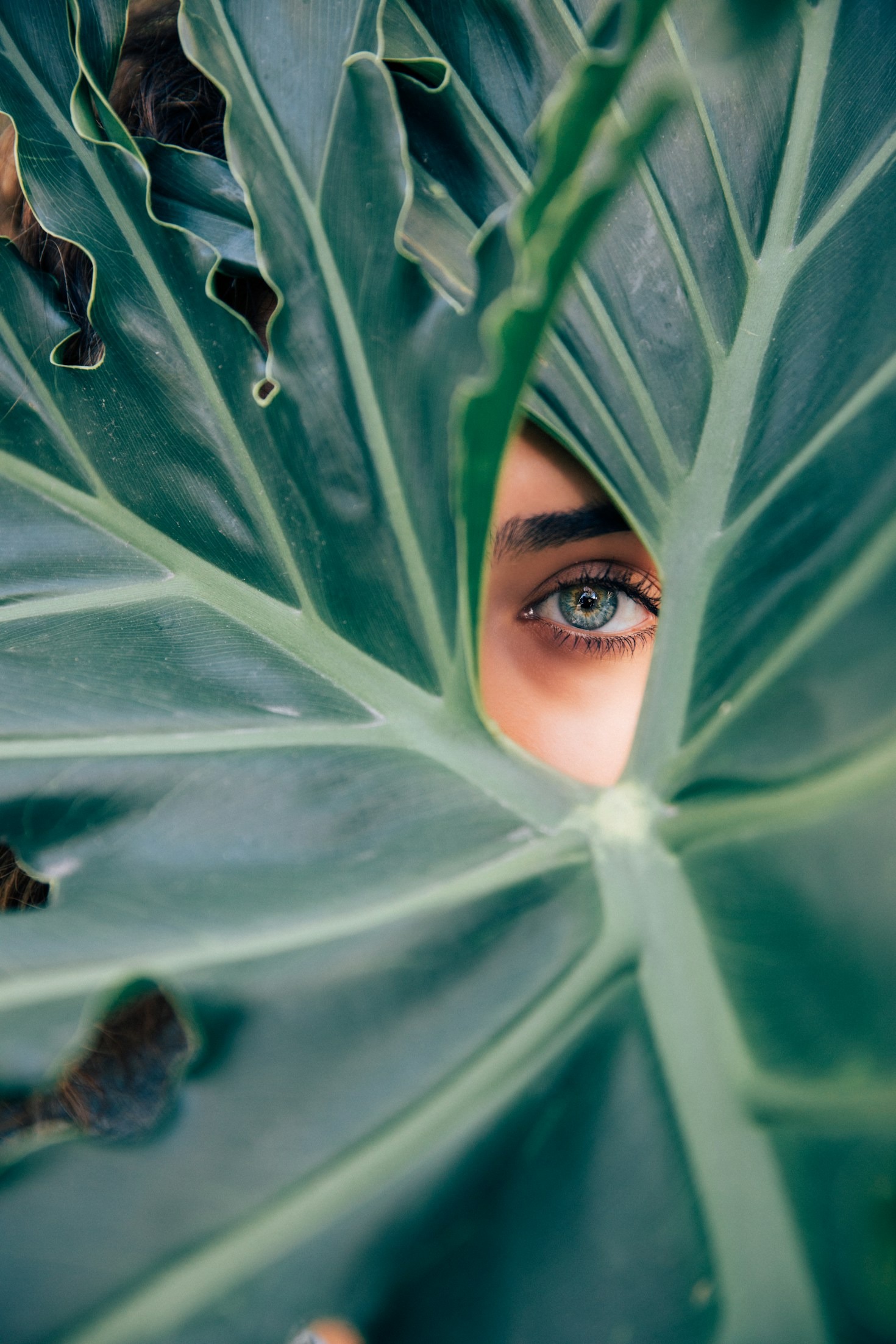 Top Wellness Trends You Should Try
